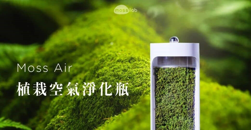 Moss Air 植栽空氣淨化瓶